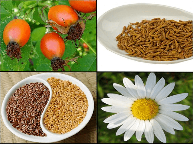 Grass from the cystitis